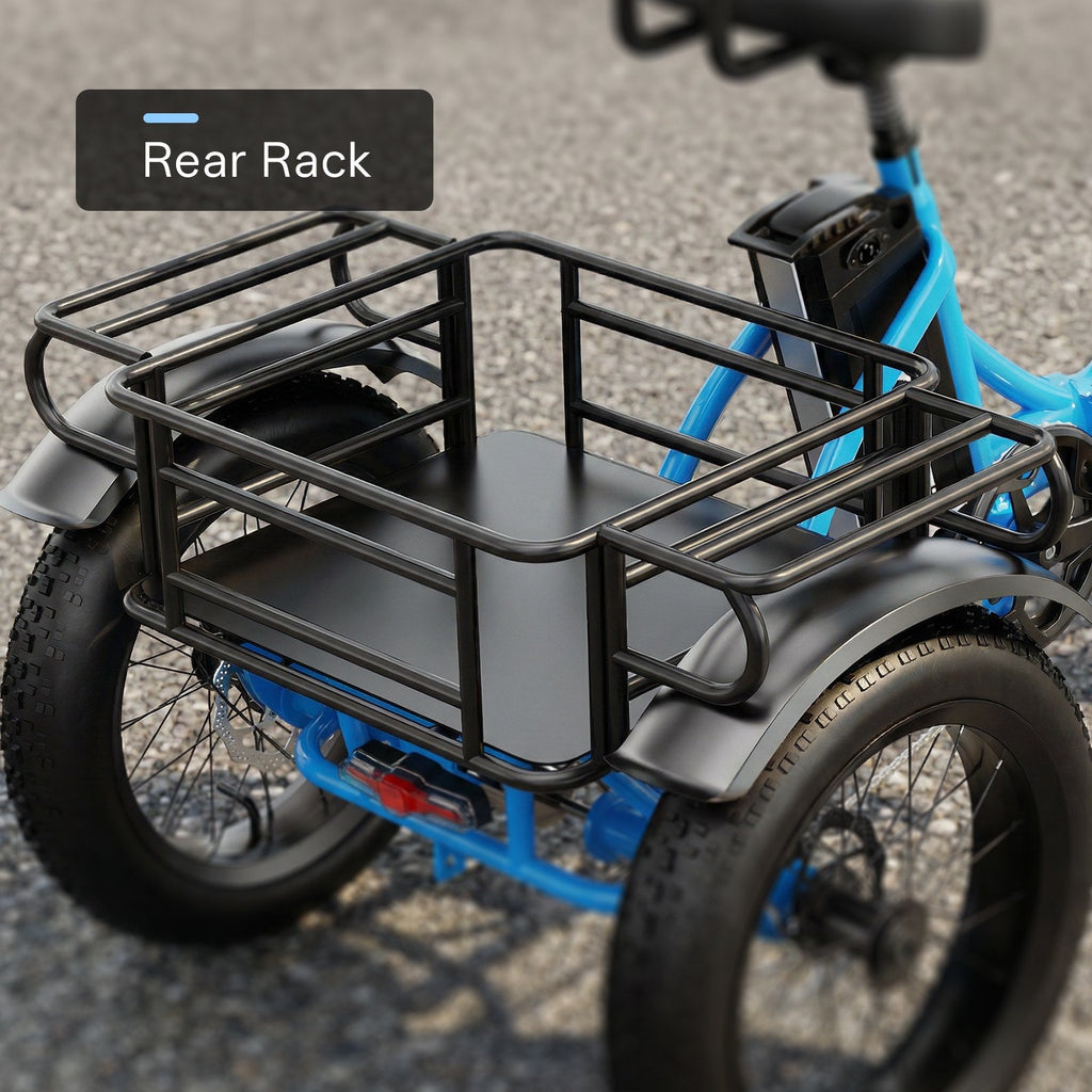 C16 Electric Tricycle 48V 20.8AH