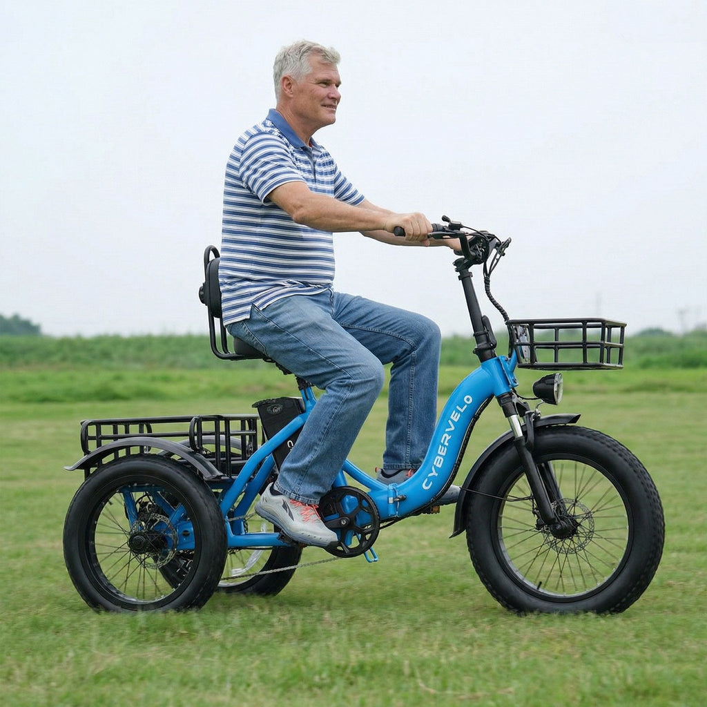 C16 Electric Tricycle 48V 20.8AH