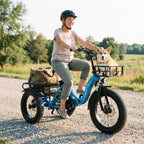 C16 Electric Tricycle 48V 20.8AH