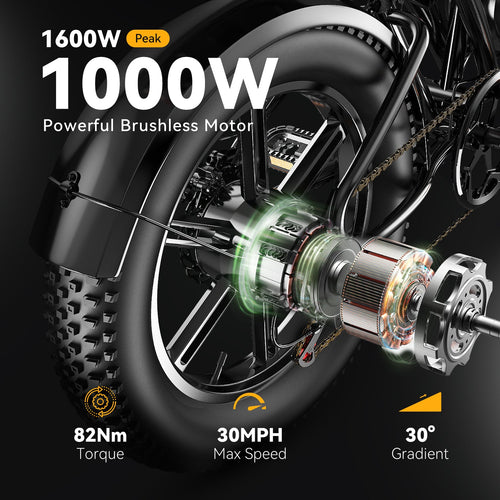 Combo Ebike EK11