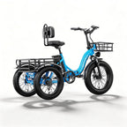 C16 Electric Tricycle 48V 20.8AH
