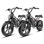 Combo Ebike EK11