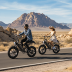 Combo Ebike EK11